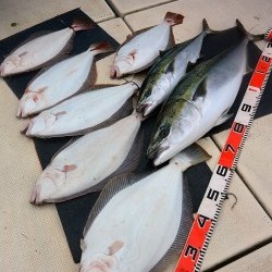 宝生丸 釣果