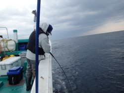 清和丸 釣果