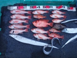 清和丸 釣果