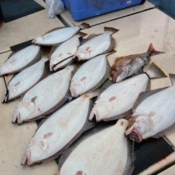 宝生丸 釣果