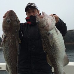 エヌスタイル 釣果