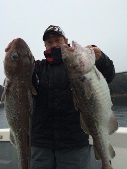 エヌスタイル 釣果