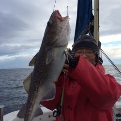 エヌスタイル 釣果