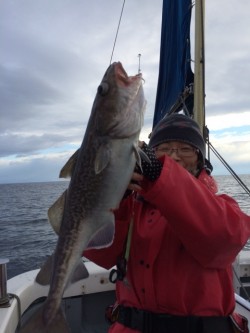 エヌスタイル 釣果