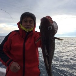 エヌスタイル 釣果