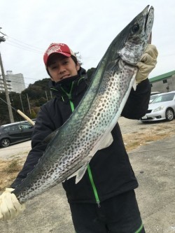 みやけ丸 釣果