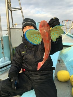 みやけ丸 釣果