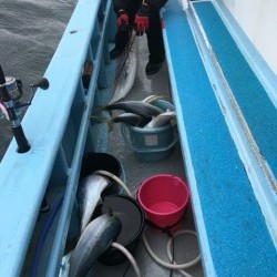 みやけ丸 釣果