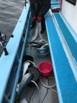 みやけ丸 釣果