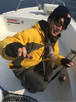 「LaGooN」蒼陽丸 日和号　 釣果