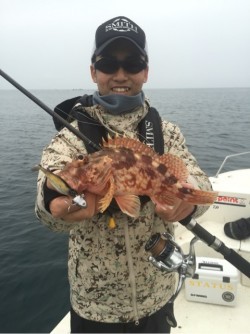 「LaGooN」蒼陽丸 日和号　 釣果