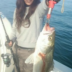 エムズジャーク（M’s JERK） 釣果