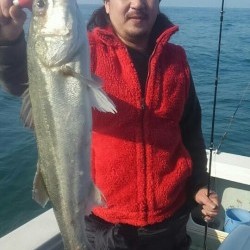 エムズジャーク（M’s JERK） 釣果