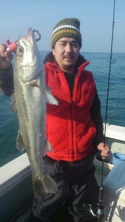 エムズジャーク（M’s JERK） 釣果