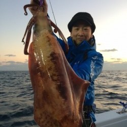 South Current 釣果