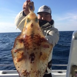 South Current 釣果