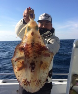 South Current 釣果