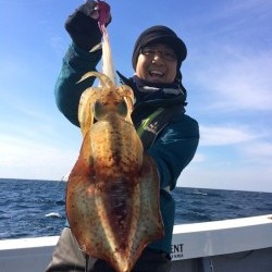 South Current 釣果