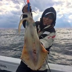 South Current 釣果