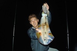 South Current 釣果