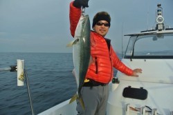 South Current 釣果