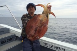 South Current 釣果