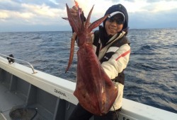 South Current 釣果