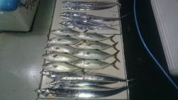 エムズジャーク（M's JERK…