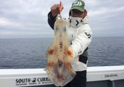 South Current 釣果