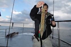 ワープゾーン 釣果