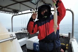 ワープゾーン 釣果