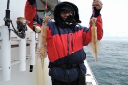 ワープゾーン 釣果