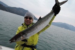 ワープゾーン 釣果