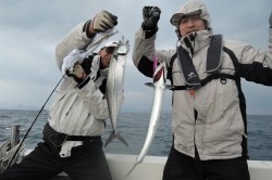 ワープゾーン 釣果