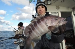 ワープゾーン 釣果