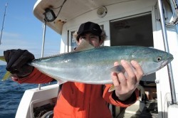 ワープゾーン 釣果