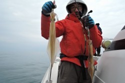 ワープゾーン 釣果