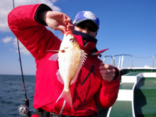 Big One　ビッグワン 釣果