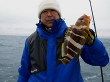 Big One　ビッグワン 釣果