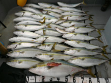 オーシャンスター(Ocean Star) …