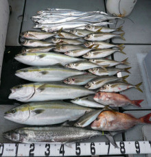 オーシャンスター(Ocean Star) …