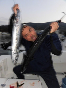 ＪＤＩ　Ｒａｃｉｎｇ　シールズマリンレジャー 釣果