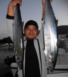 ＪＤＩ　Ｒａｃｉｎｇ　シールズマリンレジャー 釣果