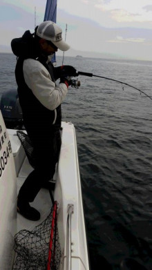 ＪＤＩ　Ｒａｃｉｎｇ　シールズマリンレジャー 釣果