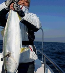 ＪＤＩ　Ｒａｃｉｎｇ　シールズマリンレジャー 釣果