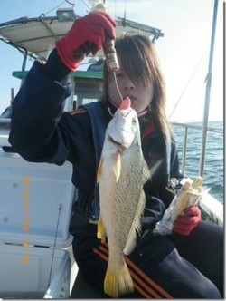 からこと丸 釣果