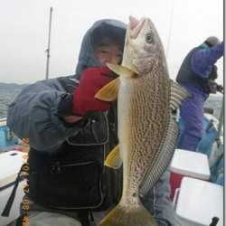 からこと丸 釣果