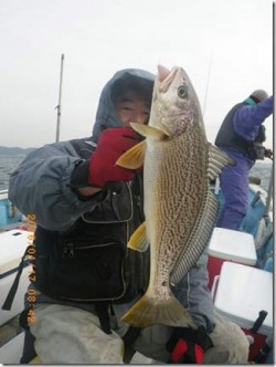 からこと丸 釣果