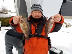 鯛多ニック 釣果