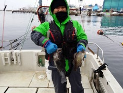 鯛多ニック 釣果